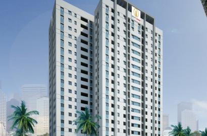 Rice City Linh Đàm Hoàng Mai – Giá Bán, Mặt Bằng & Thông Tin Chi Tiết