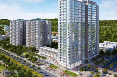 Green Bay Premium – Thông tin chi tiết, giá bán & tiềm năng đầu tư