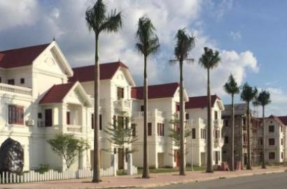 Villa Gold Cửa Lò – Thông tin chi tiết, vị trí, tiện ích và giá bán mới nhất