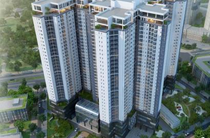 Căn hộ Phú Mỹ An – Dự án căn hộ hiện đại tại TP. Thủ Đức, TP. Hồ Chí Minh