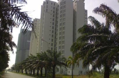 The Mansion – Khu căn hộ cao cấp, tiện ích đa dạng, cơ hội đầu tư sinh lời cao