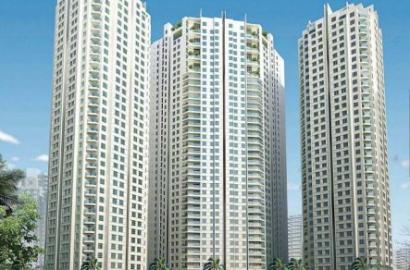 Hoàng Anh Thanh Bình – Căn hộ cao cấp Quận 7, không gian sống xanh ven sông