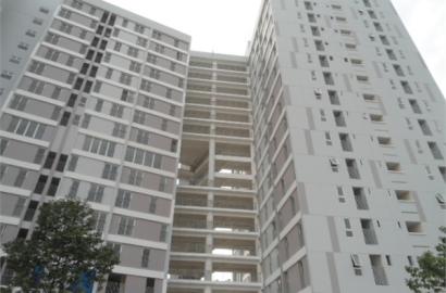 Chung cư Thanh Niên – Căn hộ hiện đại, tiện ích đầy đủ tại TP. Hồ Chí Minh
