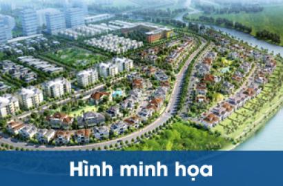 KĐT Ecohomes Tri Thức Trẻ – Khu đô thị hiện đại, không gian sống xanh và tiềm năng đầu tư bền vững