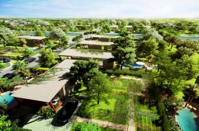 Organic Garden – Thông Tin Dự Án, Vị Trí Và Tiềm Năng Đầu Tư