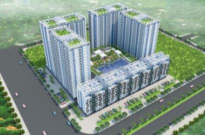 Chung cư Cát Tường – Không gian sống hiện đại, tiện nghi và tiềm năng đầu tư