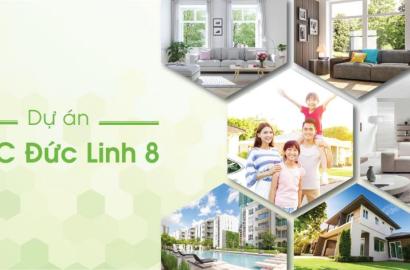 Khu dân cư Đức Linh 8 – Đất nền tiềm năng tại Bình Chánh, TP. HCM