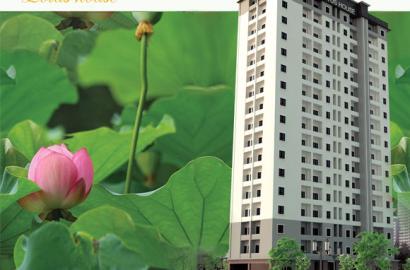 Lotus House – Thông tin chi tiết, giá bán & tiềm năng đầu tư