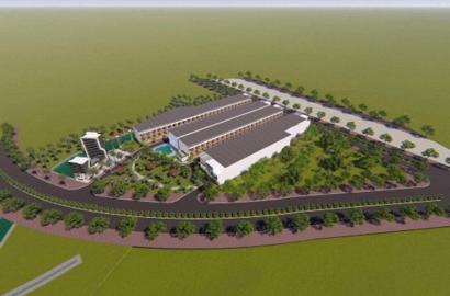 Seaway Long Hải – Khu đô thị ven biển nghỉ dưỡng, không gian sống xanh và tiềm năng đầu tư bền vững