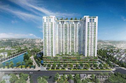 Ecolife Riverside – Khu đô thị ven sông hiện đại, không gian sống xanh tại Quy Nhơn