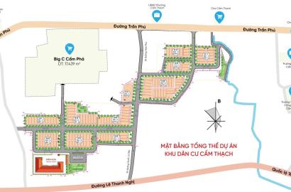 Khu dân cư Cẩm Thạch – Thông tin chi tiết, giá bán & tiềm năng đầu tư