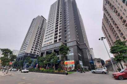 VIỆT ĐỨC COMPLEX – TỔNG QUAN, VỊ TRÍ, GIÁ TRỊ ĐẦU TƯ
