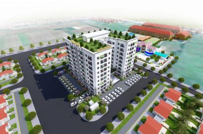 Tecco Kim Phát – Thông tin chi tiết, giá bán & tiềm năng đầu tư