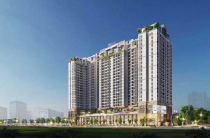 E Sea Apartment – Căn hộ ven biển hiện đại, không gian sống trẻ trung và tiện nghi