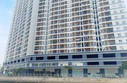 Jamona City – Khu Đô Thị Ven Sông Đào Trí Quận 7, Không Gian Sống Xanh Hiện Đại Nam Sài Gòn