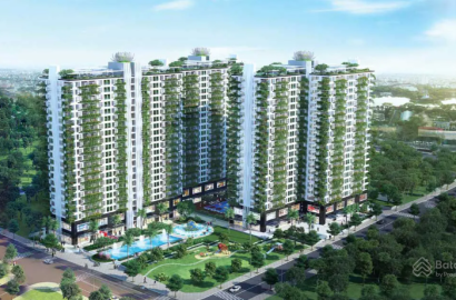 Diamond Lotus Lake View – Căn Hộ Xanh Cao Cấp Tại Tân Phú, TP. Hồ Chí Minh