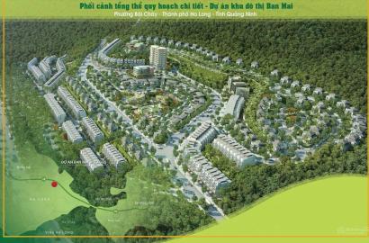 Ban Mai Villas Bãi Cháy – Thông tin chi tiết & tiềm năng đầu tư