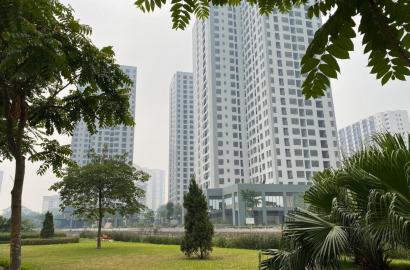 Chung Cư X2 Đại Kim – Căn Hộ Giá Hợp Lý Tại Hoàng Mai, An Cư Ổn Định