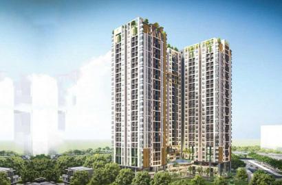 Ben Hill – Khu Dân Cư & Nhà Phố Cao Cấp 2026