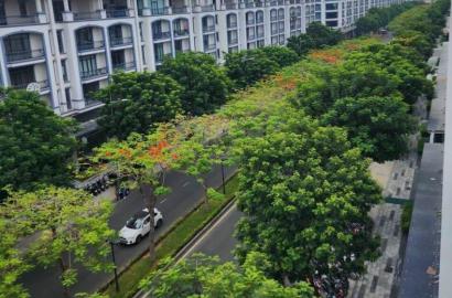 Vạn Phúc 1 – Thông tin chi tiết, giá bán & tiềm năng đầu tư 2026