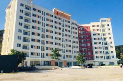 Chung cư Đồi T5 – Thông tin chi tiết, giá bán & tiềm năng đầu tư