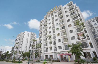 Chung cư Ánh Dương – Thông tin chi tiết, giá bán & tiềm năng đầu tư