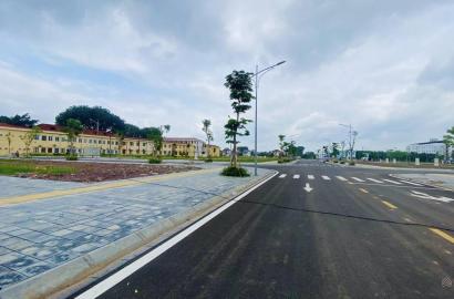 Tân Mỹ Avenue – Khu đô thị hiện đại, trục phát triển mới và tiềm năng đầu tư bền vững