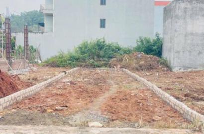 Khu Dân Cư Gò Gai – Thông Tin Dự Án, Vị Trí Và Tiềm Năng Đầu Tư