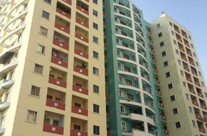 An Lạc Plaza – Căn Hộ Chung Cư Hiện Hữu Tại Bình Tân, TP.HCM