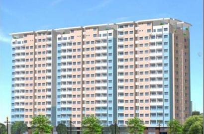 Chung Cư Thọ Nam Sang – Căn Hộ Quy Mô Lớn Mặt Tiền Trường Chinh, Quận 12