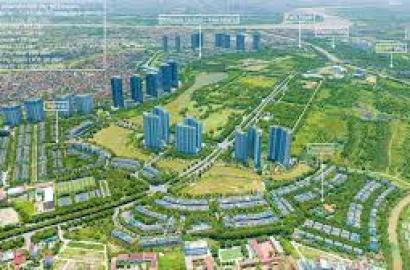 Khu Biệt Thự Vườn Mai – Không Gian Sống Xanh, An Nhiên Và Đẳng Cấp