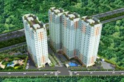 Khu Căn Hộ Tân Mai – Chung Cư Giá Tốt Tại Quận 7, TP.HCM