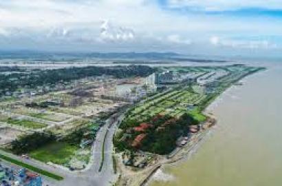 FLC Complex Thanh Hóa – Tổ Hợp Căn Hộ & Thương Mại Hiện Đại Bậc Nhất Trung Tâm