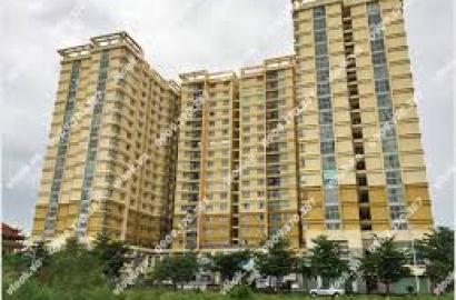 Chung cư Petroland Quận 2