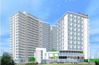TDH - Phúc Thịnh Đức