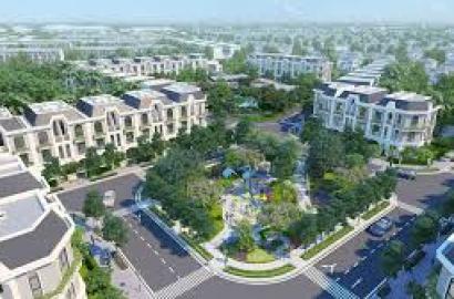 Long Kim II – Thông Tin Dự Án, Vị Trí, Quy Hoạch & Tiềm Năng Đầu Tư